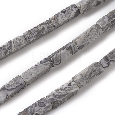 Natural Map Stone/Picasso Stone/Picasso Jasper Beads Strands G-G837-05-1