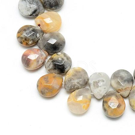 Natural Crazy Agate Gemstone Beads Strands G-T006-10-1