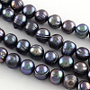Natural Cultured Freshwater Pearl Beads Strands PEAR-R012-01-5