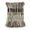 10 Skeins 6-Ply Polyester Embroidery Floss OCOR-K006-A78-1