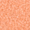 FGB Frosted Transparent Glass Seed Beads SEED-N013-02A-04-3