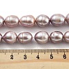 Natural Cultured Freshwater Pearl Beads Strands  PEAR-P062-13F-X-5