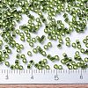 MIYUKI Delica Beads X-SEED-J020-DB1207-4