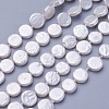 Shell Pearl Beads Strands X-BSHE-P030-01A-2