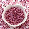 Glass Seed Beads SEED-A032-01F-2