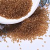 MIYUKI Delica Beads X-SEED-J020-DB1101-1