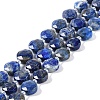 Natural Lapis Lazuli Beads Strands G-N342-16-1