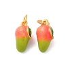 Alloy Enamel Pendants FIND-O003-10D-MG-1