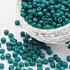 6/0 Baking Paint Glass Seed Beads SEED-OL0002-09-4mm-16-1