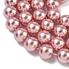 Electroplated Shell Pearl Beads Strands BSHE-G041-12mm-05-3