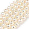 Glass Pearl Beads Strands HY-G002-01B-02-1