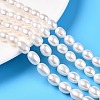 Natural Cultured Freshwater Pearl Beads Strands PEAR-N012-07U-1-1