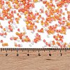 Baking Paint Glass Seed Beads X-SEED-S042-05B-45-4