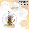Diamond Glass Dome Cover AJEW-WH0348-294D-02-5