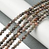 Natural Leopard Skin Jasper Beads Strands G-K365-C01-01-2