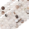 Natural Dendritic Agate Beads Strands G-C011-6mm-01-2