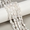 Natural Rainbow Moonstone Beads Strands G-G018-48-01-1
