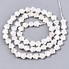 Shell Pearl Beads Strands X-SSHEL-N032-21-2