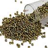 TOHO 8/0 Round Beads X-SEED-TR08-0513-1