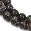 Natural Larvikite Beads Strands G-F792-C03-03-4