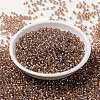 MIYUKI Round Rocailles Beads X-SEED-G009-RR3521-2