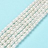 Natural Cultured Freshwater Pearl Beads Strands PEAR-E016-143-2