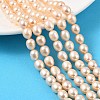 Natural Cultured Freshwater Pearl Beads Strands PEAR-I007-01D-01B-1