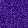 MIYUKI Delica Beads X-SEED-J020-DB0748-3