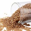 TOHO Round Seed Beads SEED-XTR15-0002CF-1