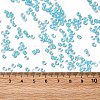 6/0 Transparent Glass Seed Beads SEED-F003-03A-10-4