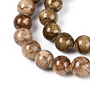 Natural Persian Jade Beads Strands G-A255-A02-02E-4