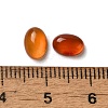 Natural Carnelian Cabochons G-F605E-18B-3