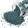 MIYUKI Delica Beads SEED-X0054-DB2407-1