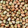 Picasso Glass Seed Beads SEED-N012-10D-3