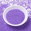 MIYUKI Delica Beads SEED-MY11-DB1379-2