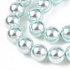 Glass Pearl Beads Strands HY-G002-01F-12-2