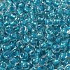 6/0 Transparent Inside Colours Glass Seed Beads SEED-P006-01A-08-3