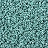 MIYUKI Round Rocailles Beads X-SEED-G007-RR0481-2