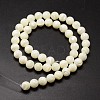 Shell Beads Strands SSHEL-E571-39-6mm-2