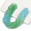 Transparent Painted Glass Beads Strands LS-DGLA-A034-T2mm-A16-1