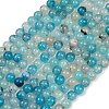 Natural Agate Beads Strands G-J361-01-8mm-2