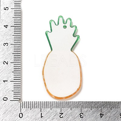 Acrylic Pendants OACR-R270-03H-1