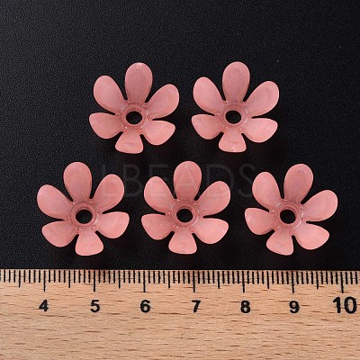 Transparent Acrylic Beads MACR-S373-47-D05-1
