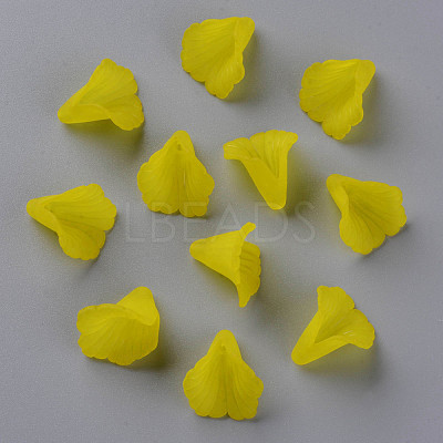 Transparent Acrylic Bead Caps X-PL551-C09-1