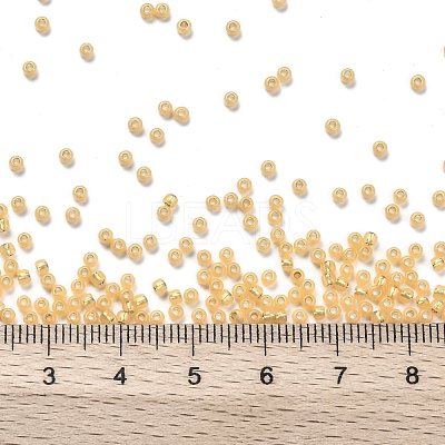 TOHO 11/0 Round Beads X-SEED-TR11-2110-1