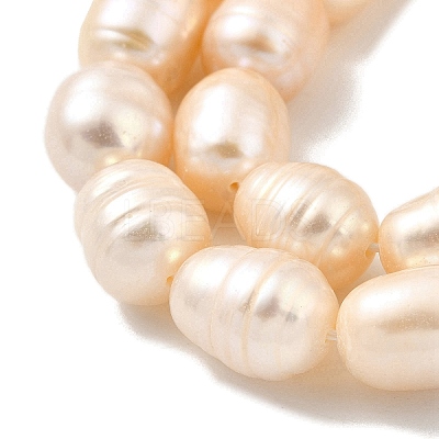 Natural Cultured Freshwater Pearl Beads Strands PEAR-I007-01E-01B-1