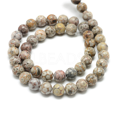 Natural Maifanite/Maifan Stone Beads Strands - Lbeads.com