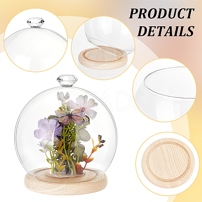 Diamond Glass Dome Cover AJEW-WH0348-294D-02-1