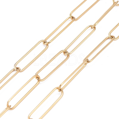 3.28 Feet 304 Stainless Steel Paperclip Chains X-CHS-F011-03A-G-1