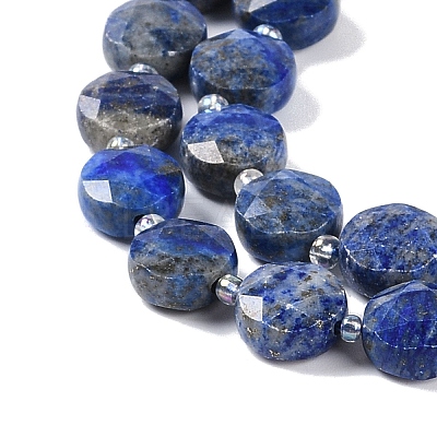 Natural Lapis Lazuli Beads Strands G-N342-16-1